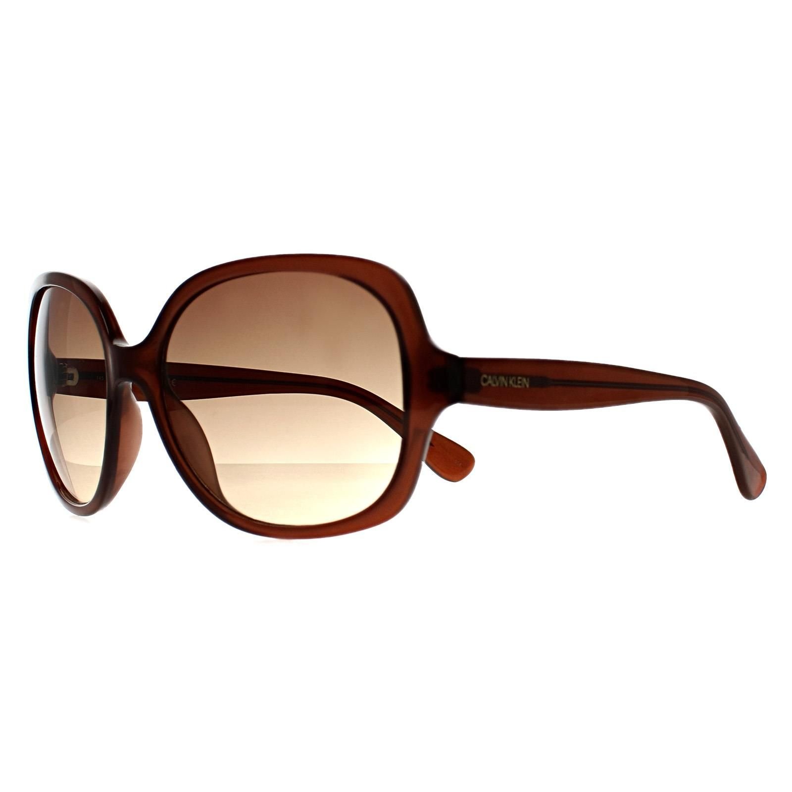 Calvin Klein CALVIN KLEIN Women's Cat Eye Crystal Brown Brown Gradient CK19538S - 2