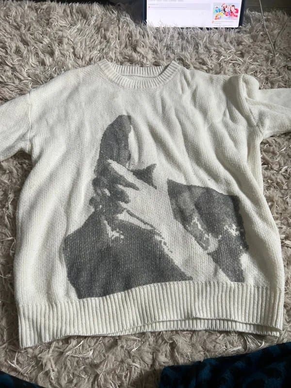 ASOS Frank ocean jumper