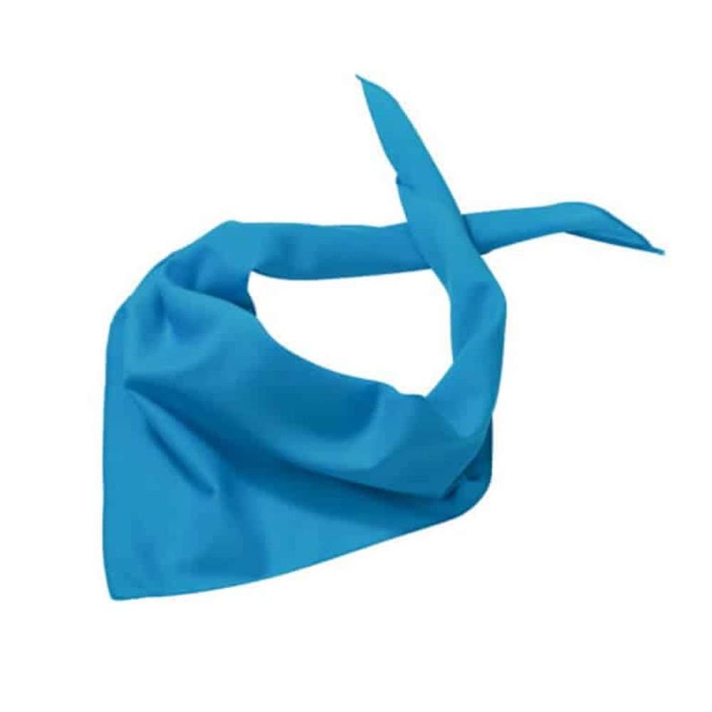 Myrtle Beach Myrtle Beach Men's Triangular Scarf in Turquoise