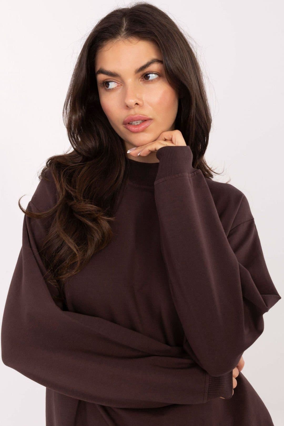 Love Lace Love Lace Women's Cotton Elastane Stand Collar Sweatshirt in Brown