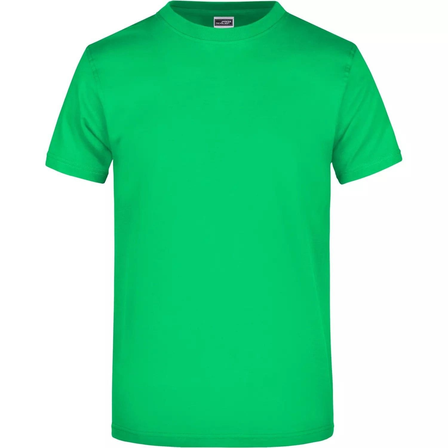 James and Nicholson Men's Bottle Green Heavyweight T-Shirt