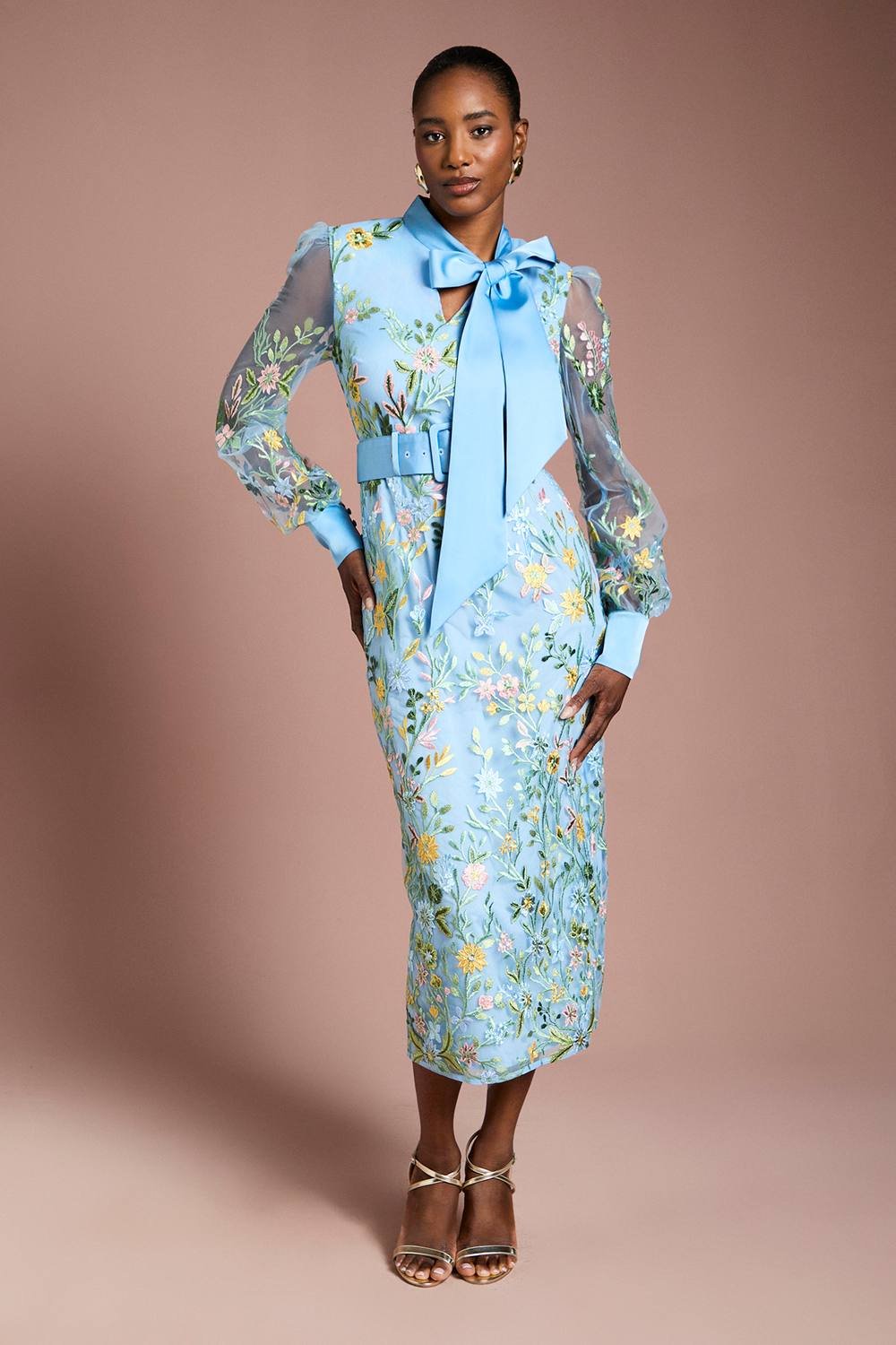 Coast Coast Women's Embroidered Mesh Pussybow Midi Dress in Blue - 2