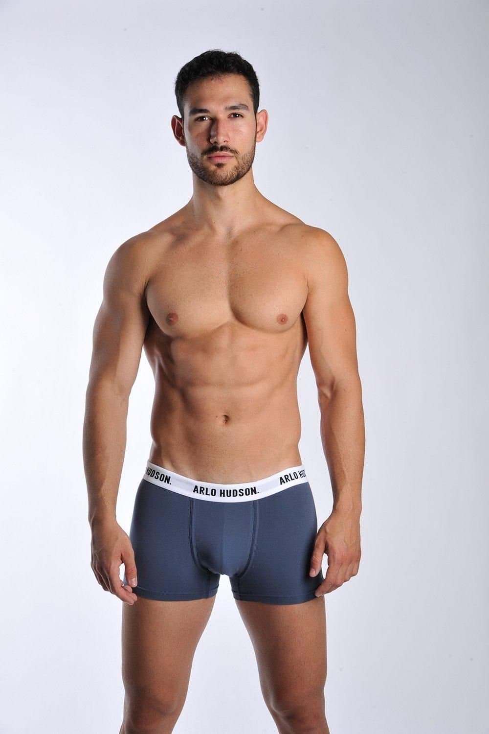 Arlo Hudson Arlo Hudson Men's Plain Cotton Trunk in Blue