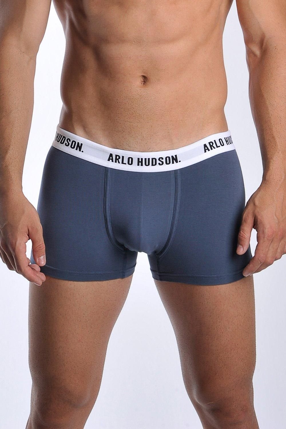 Arlo Hudson Arlo Hudson Men's Plain Cotton Trunk in Blue - 2