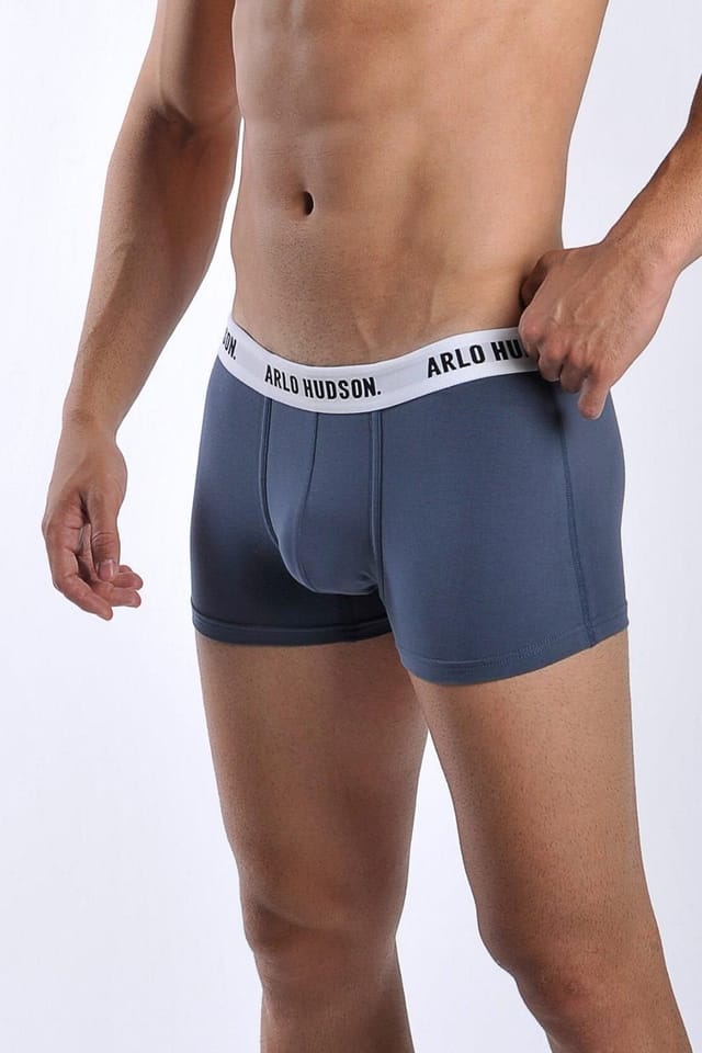 Arlo Hudson Arlo Hudson Men's Plain Cotton Trunk in Blue - 3