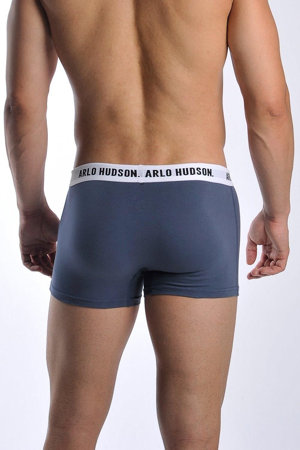 Arlo Hudson Arlo Hudson Men's Plain Cotton Trunk in Blue - 4