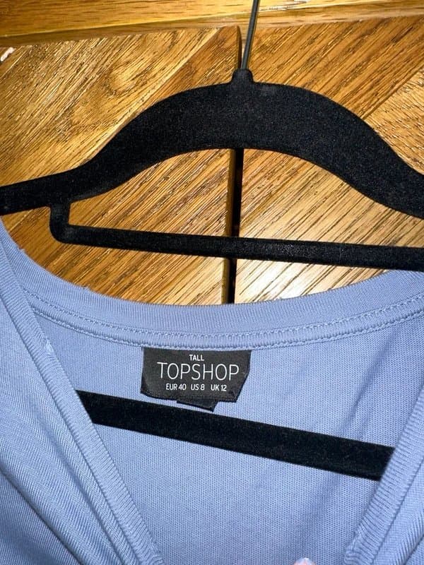 Topshop Topshop mesh tshirt
