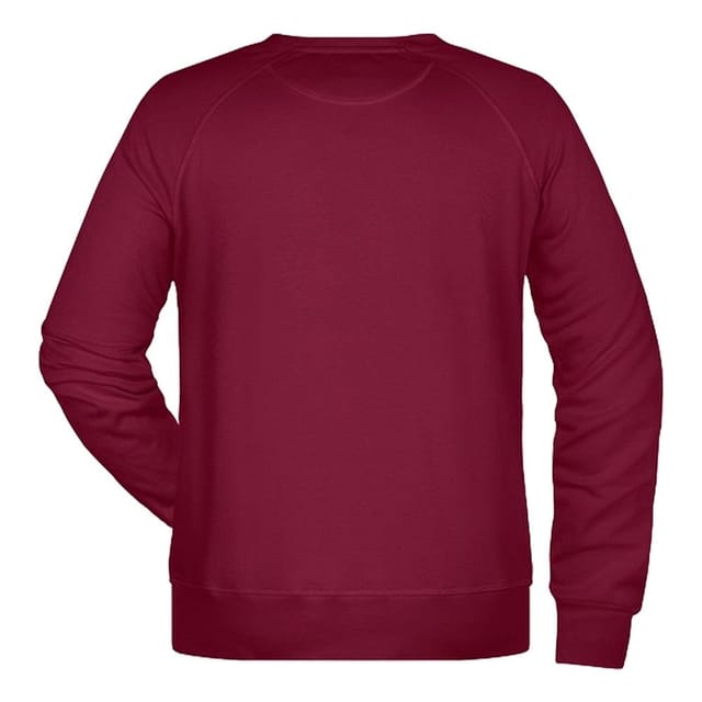 James and Nicholson James and Nicholson Men's Plain Sweatshirt in Wine - 2