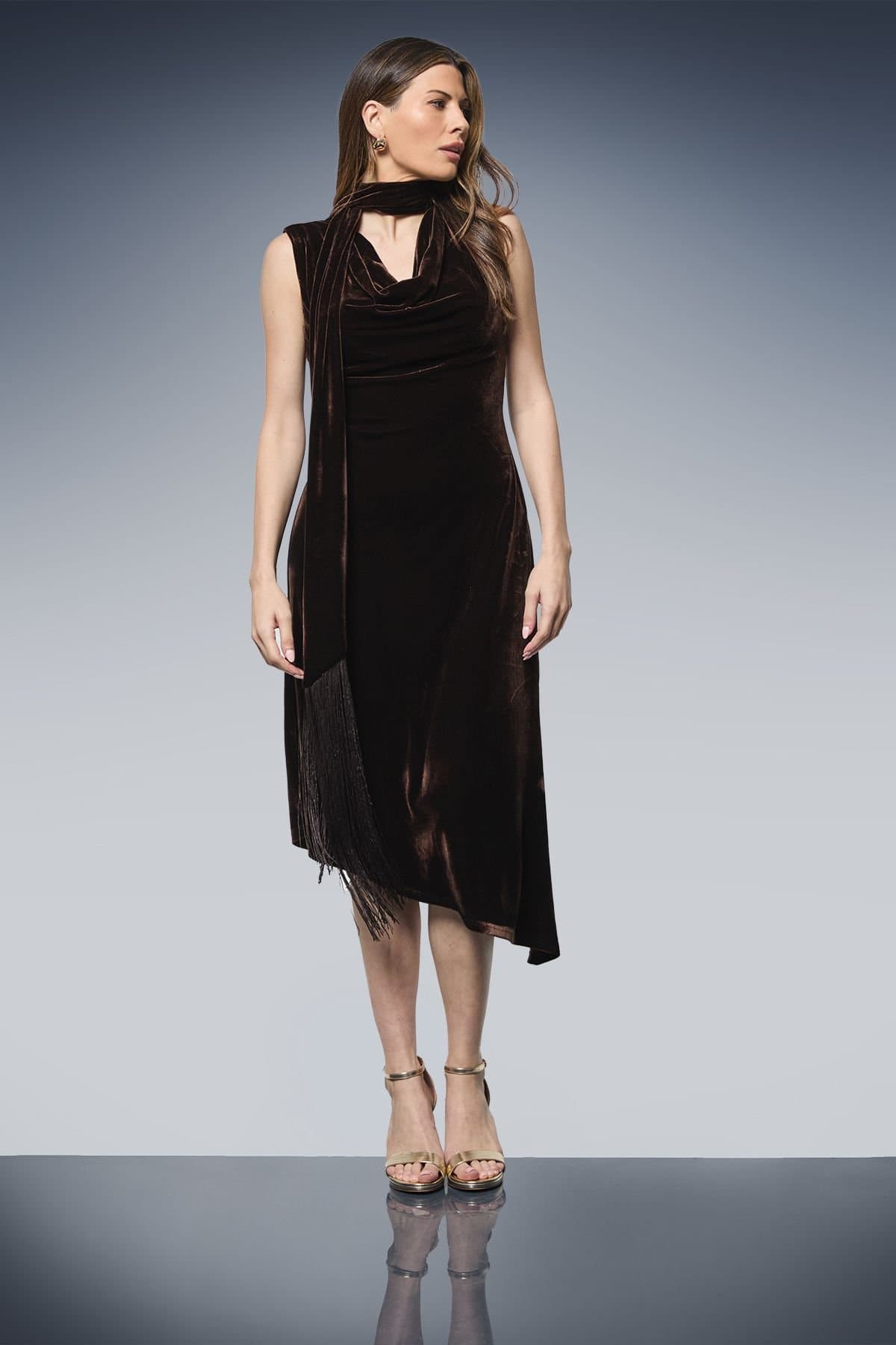 Wallis Wallis Women's Velvet Tie Neck Tassel Midi Dress in Chocolate