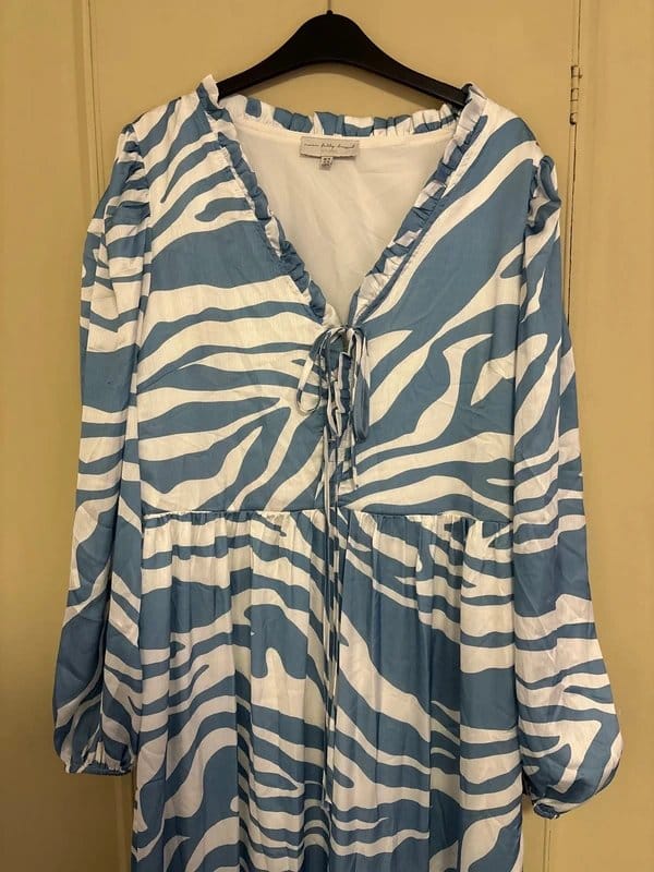 Never Fully Dressed Blue Zebra Print Silk Dress