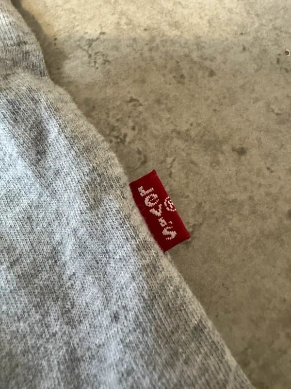 Levis Levi’s Grey Heart Embroidered T-Shirt XS | Cute Indie Lazy Oaf Style Tee