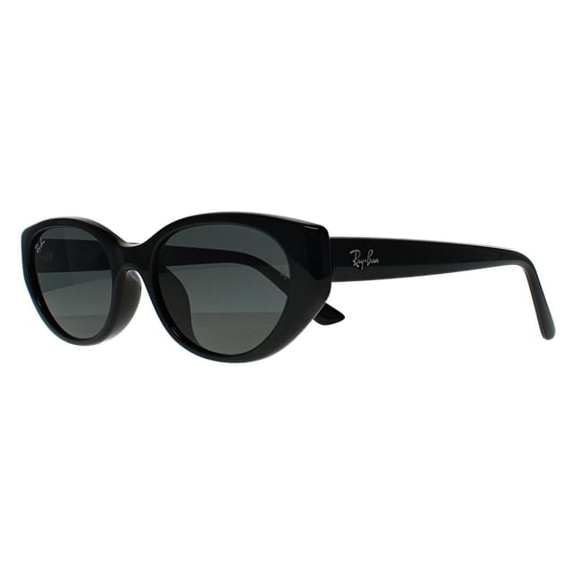 Ray-Ban Ray-Ban Women's Oval Polished Black Dark Grey RB4457D Bio Based - 2