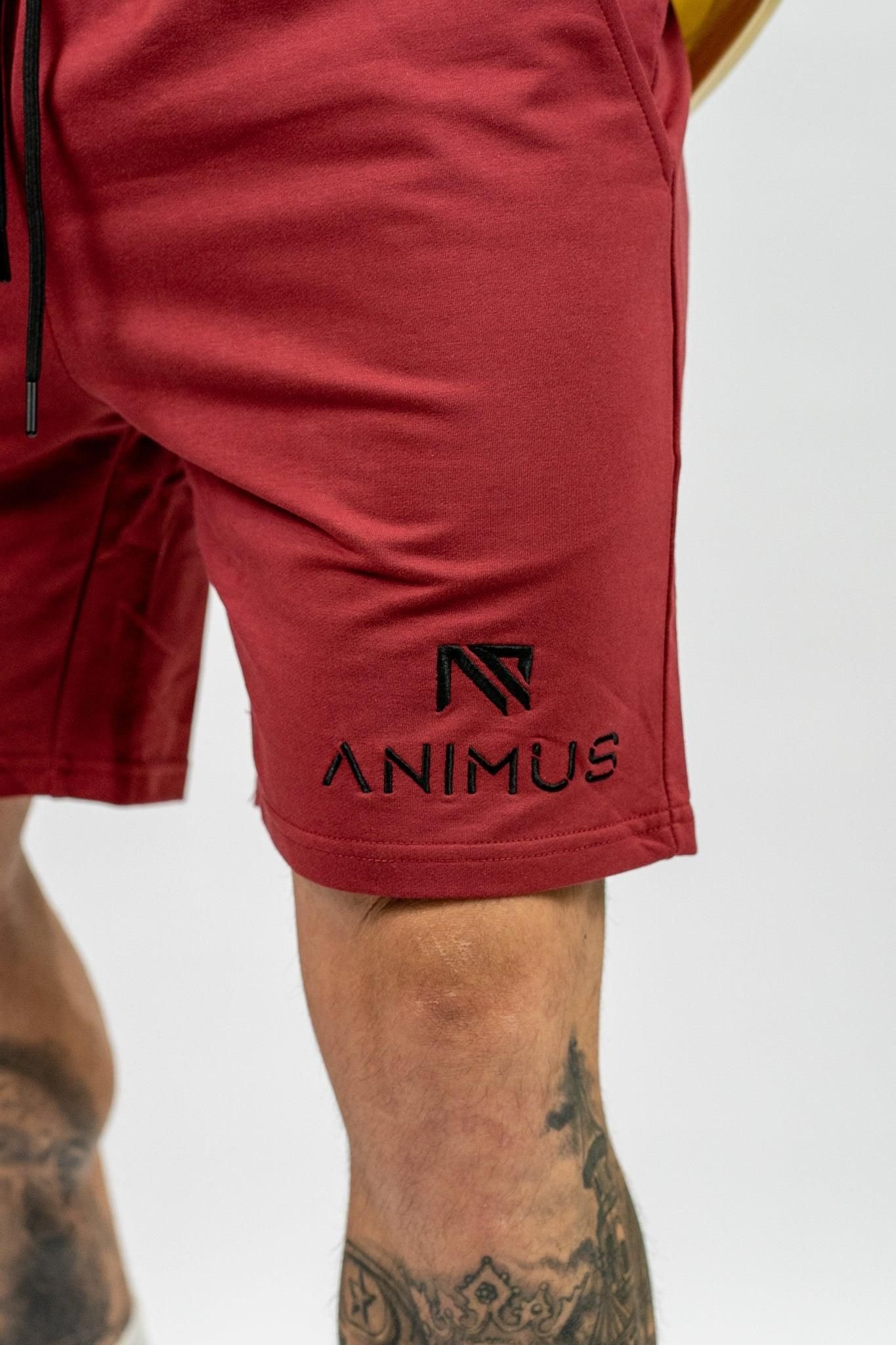 Animus Animus Men's Core Shorts in Burgundy - 2