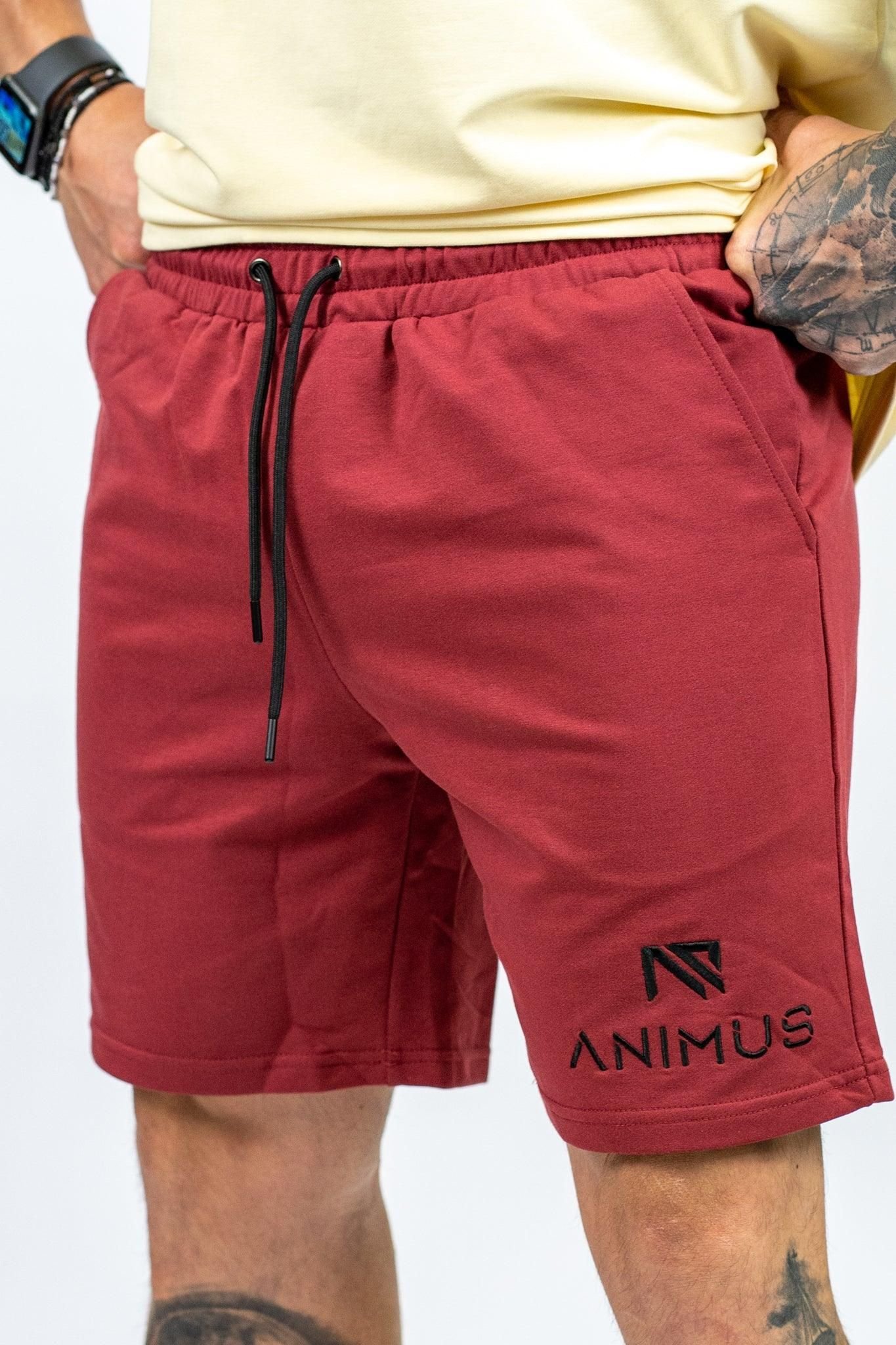 Animus Animus Men's Core Shorts in Burgundy - 3