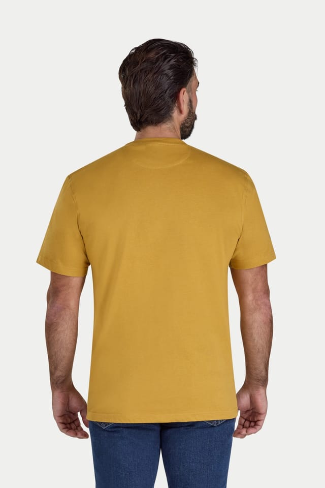 raging bull Raging Bull Men's Mountain Adventures T-Shirt in Mustard - 2