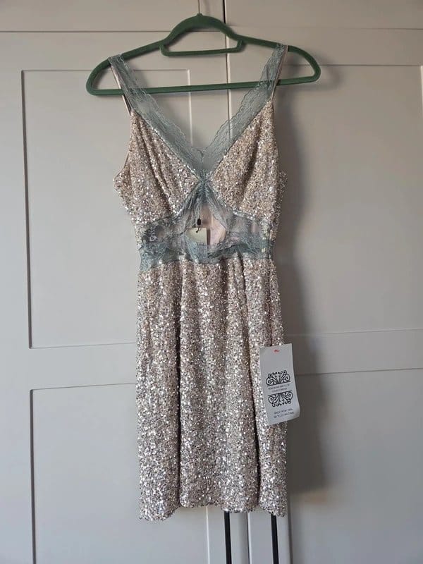Never Fully Dressed Silver Sequin Mini Dress