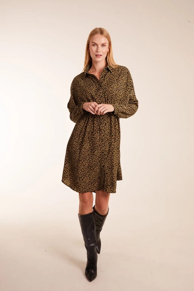 Blue Vanilla Leopard Shirt Dress - 2