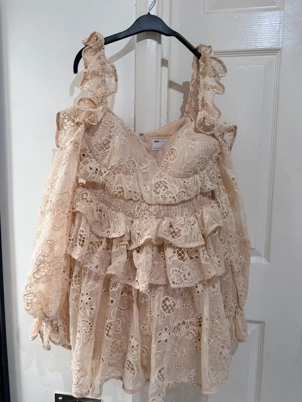 ASOS Luxe Nude Embroidered Lace Ruffle Mini Dress