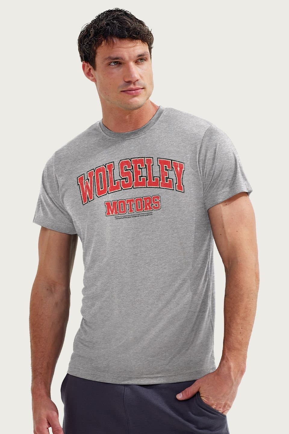 Wolseley Wolseley Men's Motors College Sports Text British Motor Heritage T-Shirt in Mid Grey