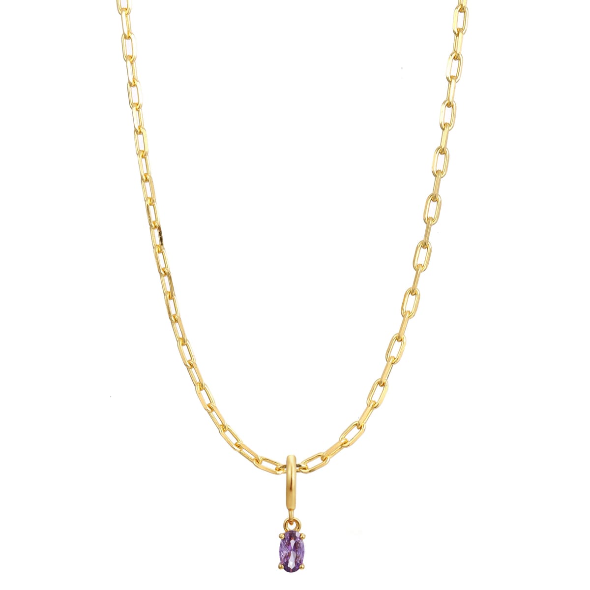 Gold Trip Gold Trip Women's February Birthstone Necklace in Gold - 1