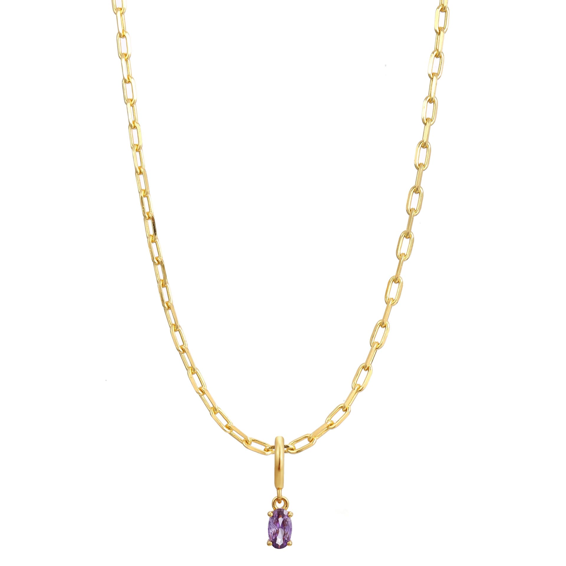 Gold Trip Gold Trip Gold February Birthstone Necklace