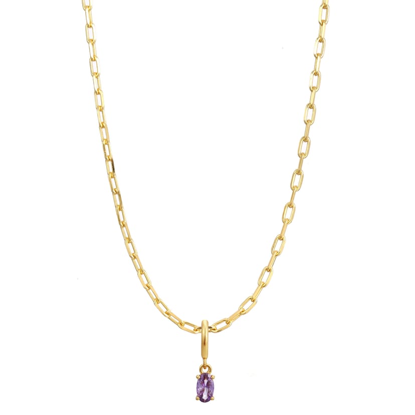 Gold Trip Gold Trip Women's February Birthstone Necklace in Gold - 1