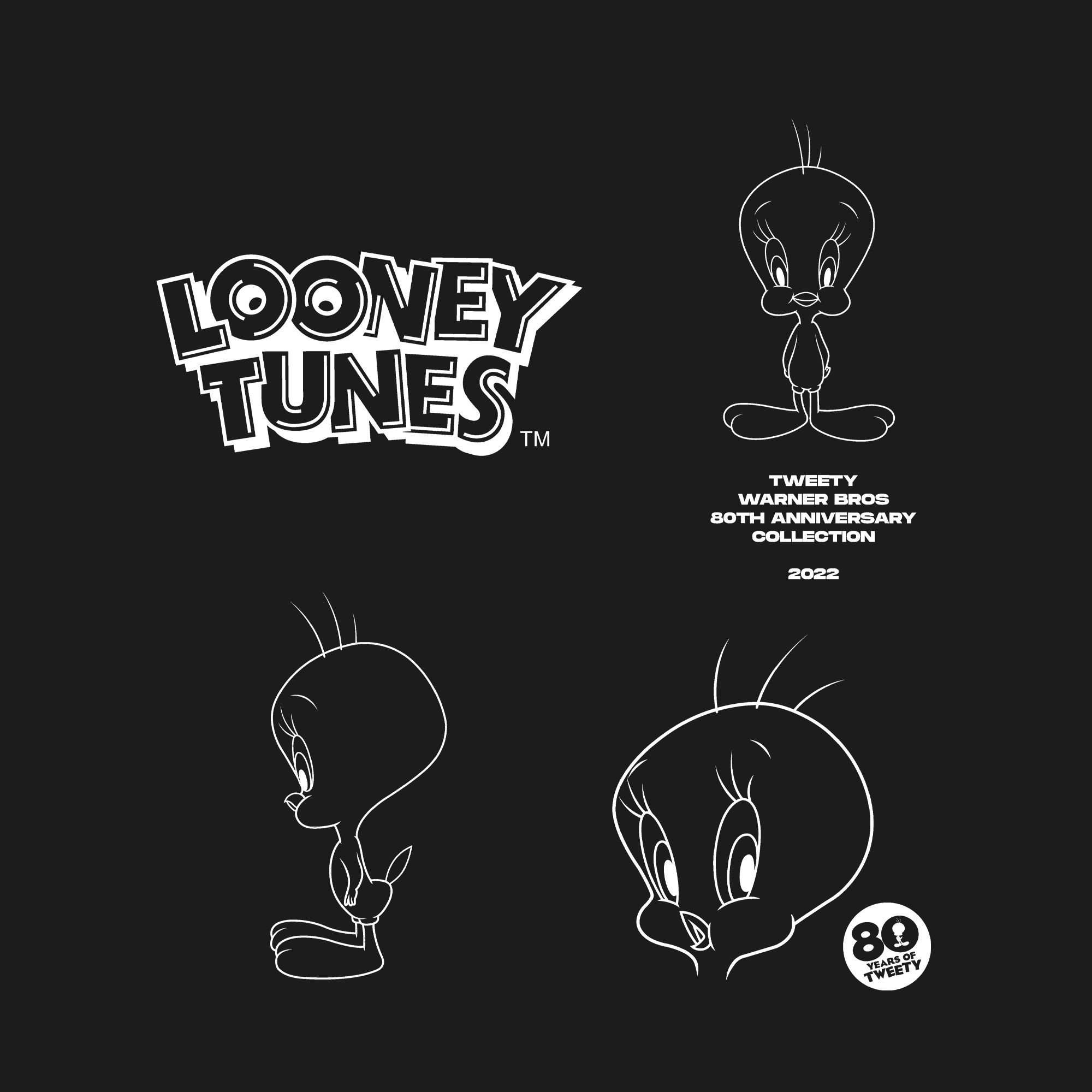 Tweety Tweety Men's Outline 80th T-Shirt in Black - 3