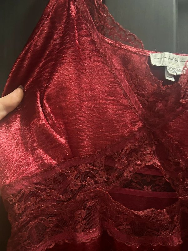 Never Fully Dressed Never fully dressed red lace slip dress size 16 petite - 1