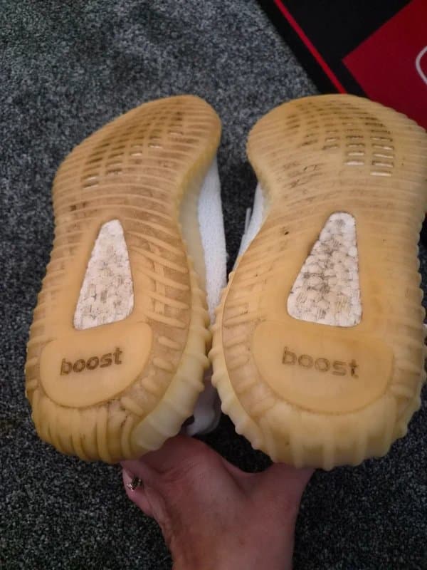 adidas Adidas Yeezy