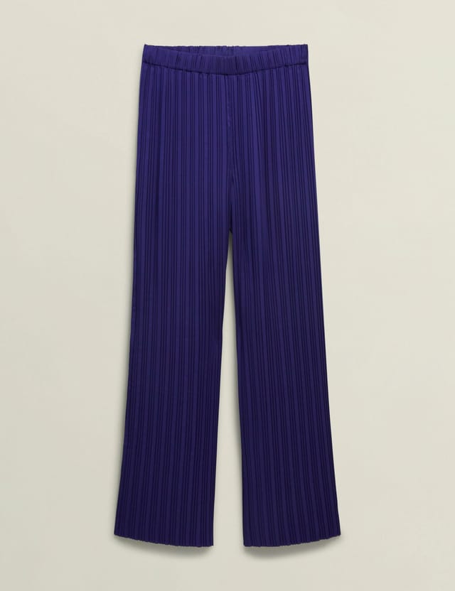 Hobbs London Hobbs London Women's Orla Pleated Trousers in Indigo - 2
