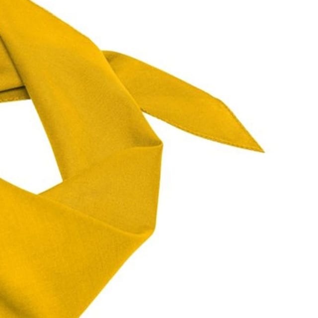 Myrtle Beach Myrtle Beach Men's Triangular Scarf in Gold - 2