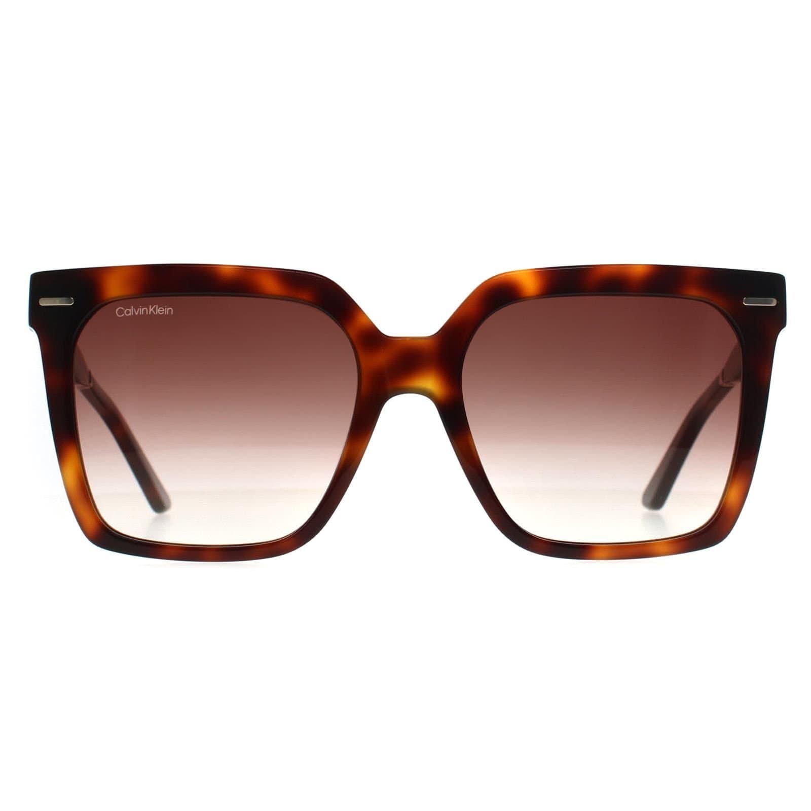 Calvin Klein CALVIN KLEIN Women's Square Brown Havana Brown Gradient CK22534S