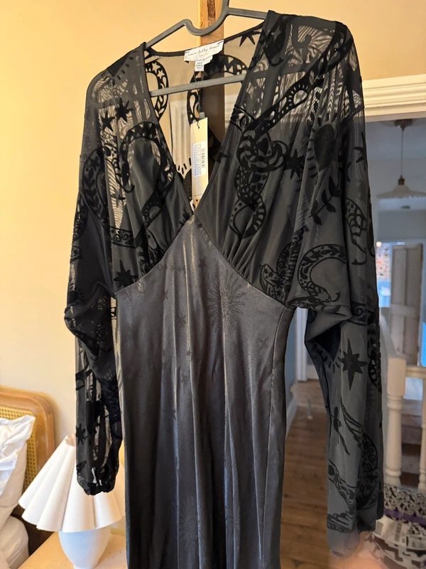 Never Fully Dressed BNWT Never Fully Dressed Sheer Sleeve Satin Long Dress XS - 1