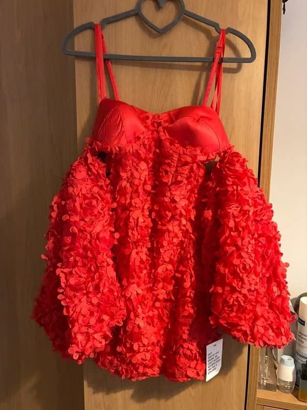 ASOS ASOS Luxe 3D Flower Red Dress Size 8