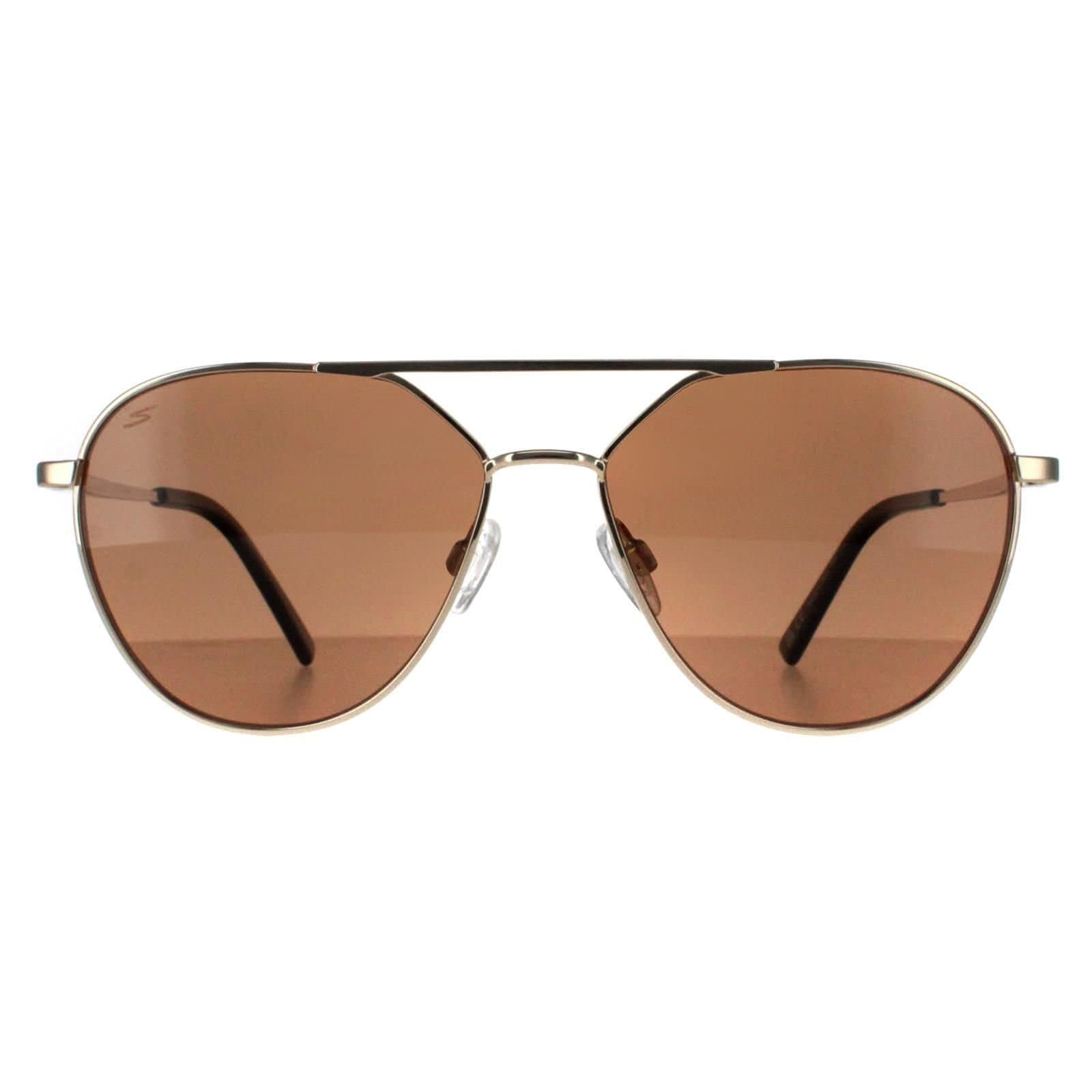 Serengeti Serengeti Men's Aviator Shiny Light Gold Saturn Polarized Odell