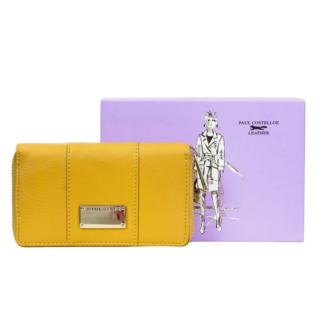 Paul Costelloe Paul Costelloe Women's Dione Leather Purse in Yellow - 2