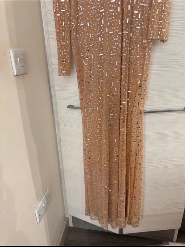 Oh Polly Oh poly Portia sheer embellished almond maxi dress