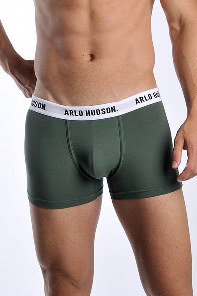 Arlo Hudson Arlo Hudson Men's Plain Cotton Trunk in Green - 2