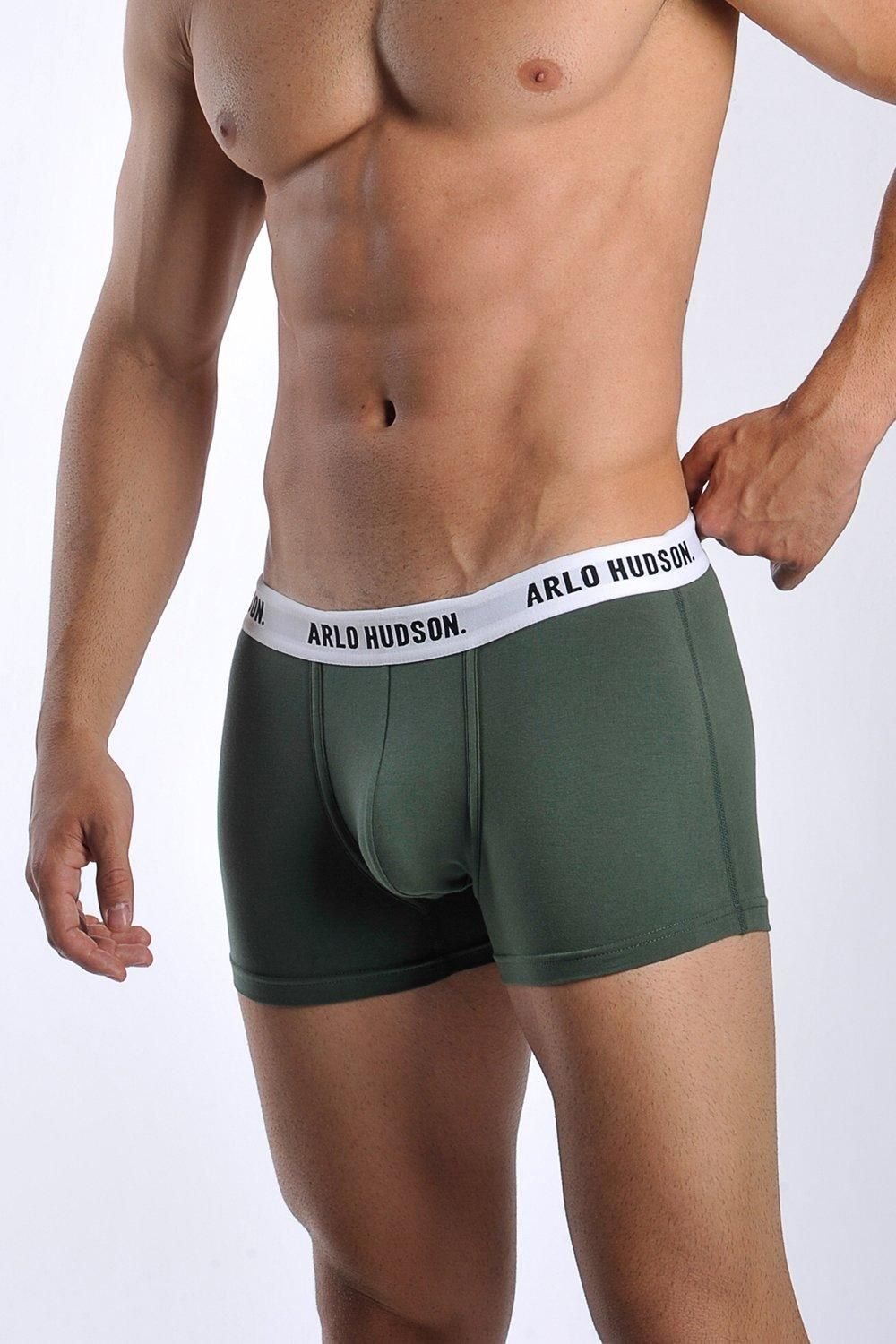Arlo Hudson Arlo Hudson Men's Plain Cotton Trunk in Green - 3