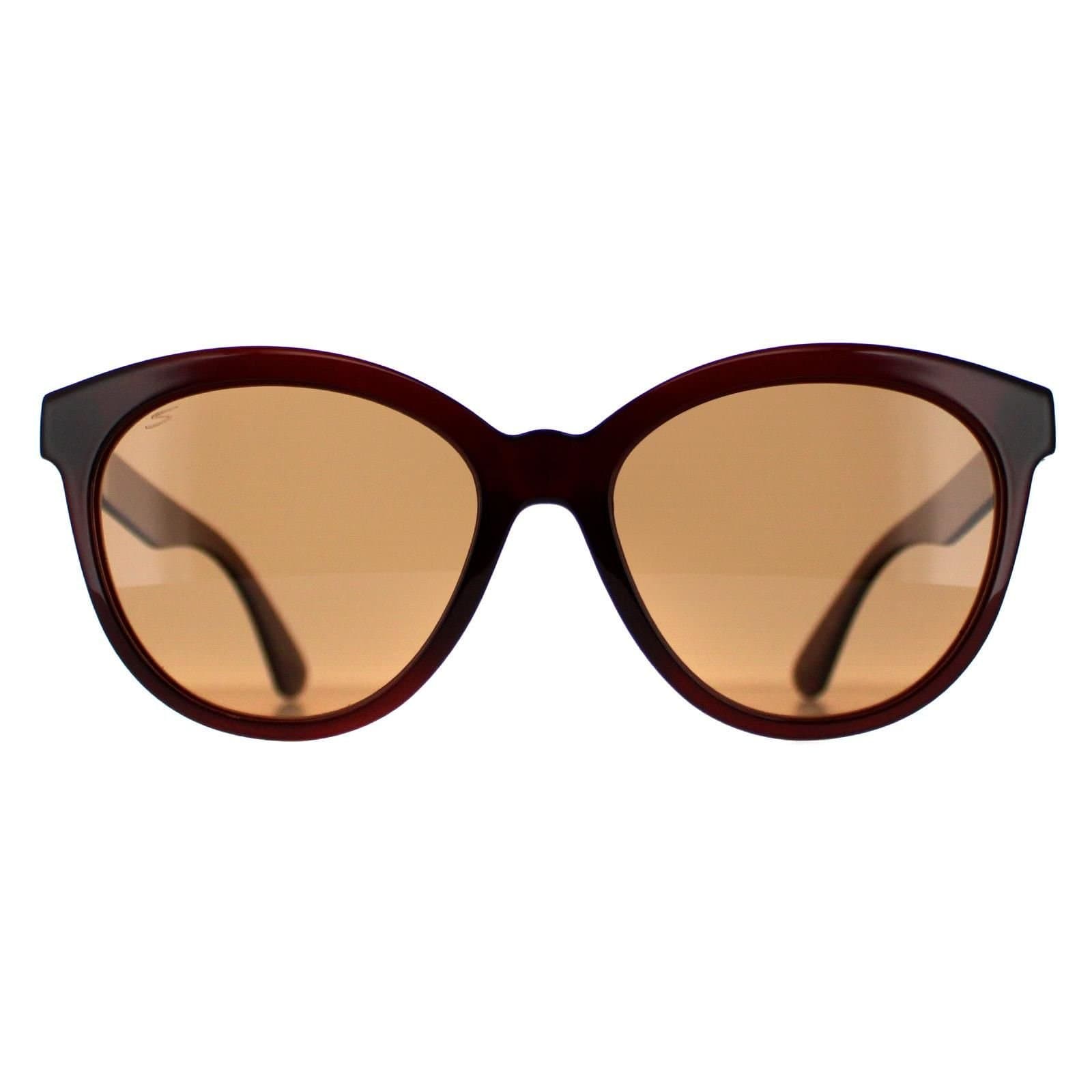 Serengeti Serengeti Women's Round Shiny Brown Saturn Polarized Drivers Endee