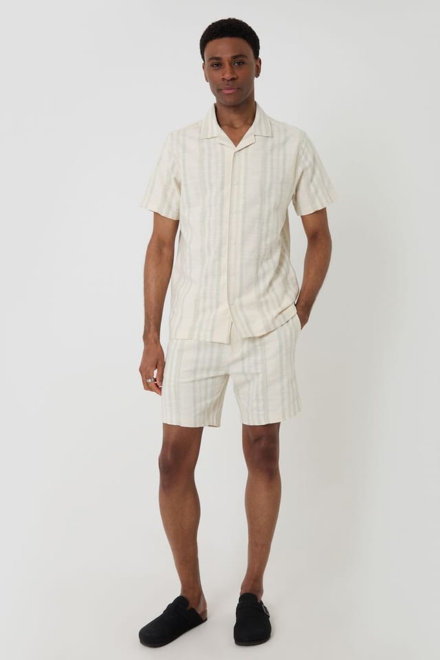 Threadbare Threadbare Men's Geometric Stripe Textured Cotton Shorts in Pale Green - 3