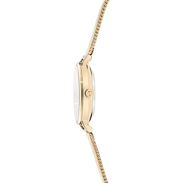 Ted Baker Ted Baker Women's BKPSTF405 Classic Chic 28mm Quartz Watch in Gold - 3