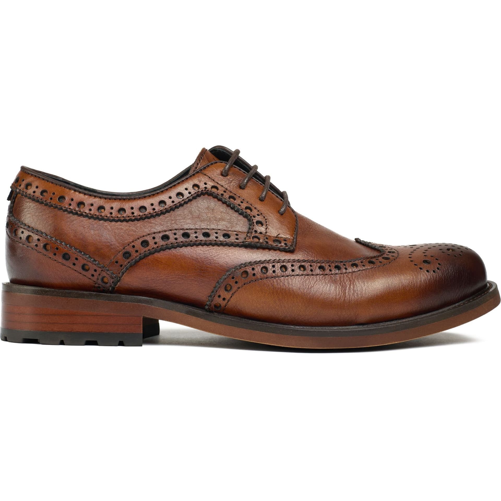 SOLE SOLE Men's Caliper Brogue Shoes in Tan