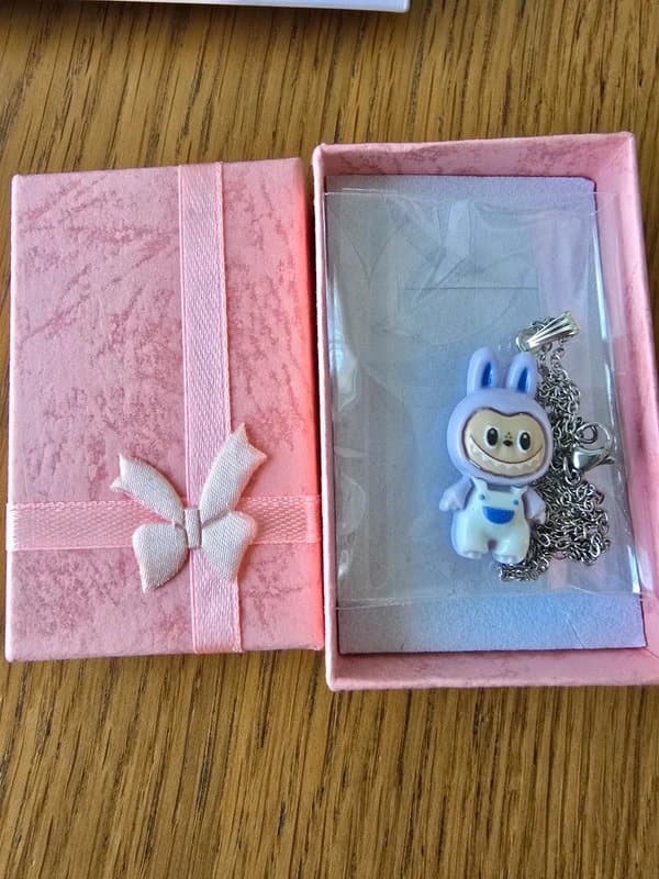 No Label Small Labubu gift
