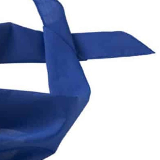 Myrtle Beach Myrtle Beach Men's Triangular Scarf in Blue - 2