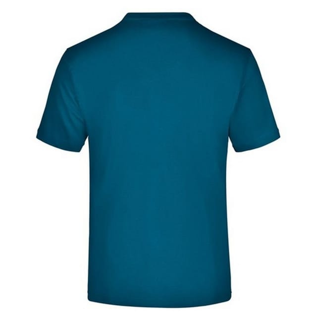 James and Nicholson James and Nicholson Men's Medium Round Neck T-Shirt in Duck Egg Blue - 2