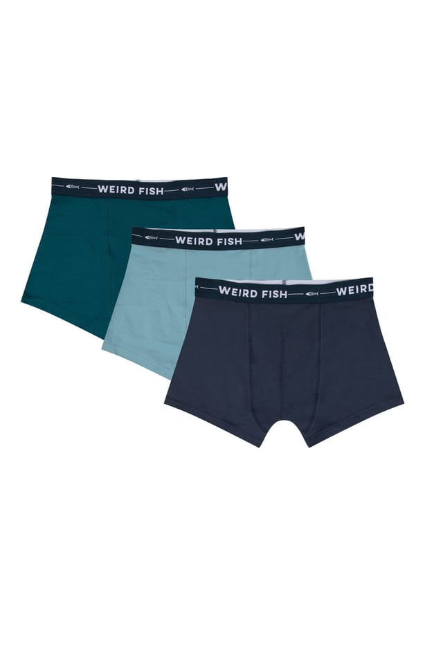 Weird Fish Weird Fish Men's Ashridge Boxer Shorts 3 Pack in Teal - 2