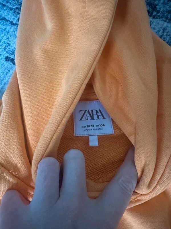 Zara Zara Hoodie
