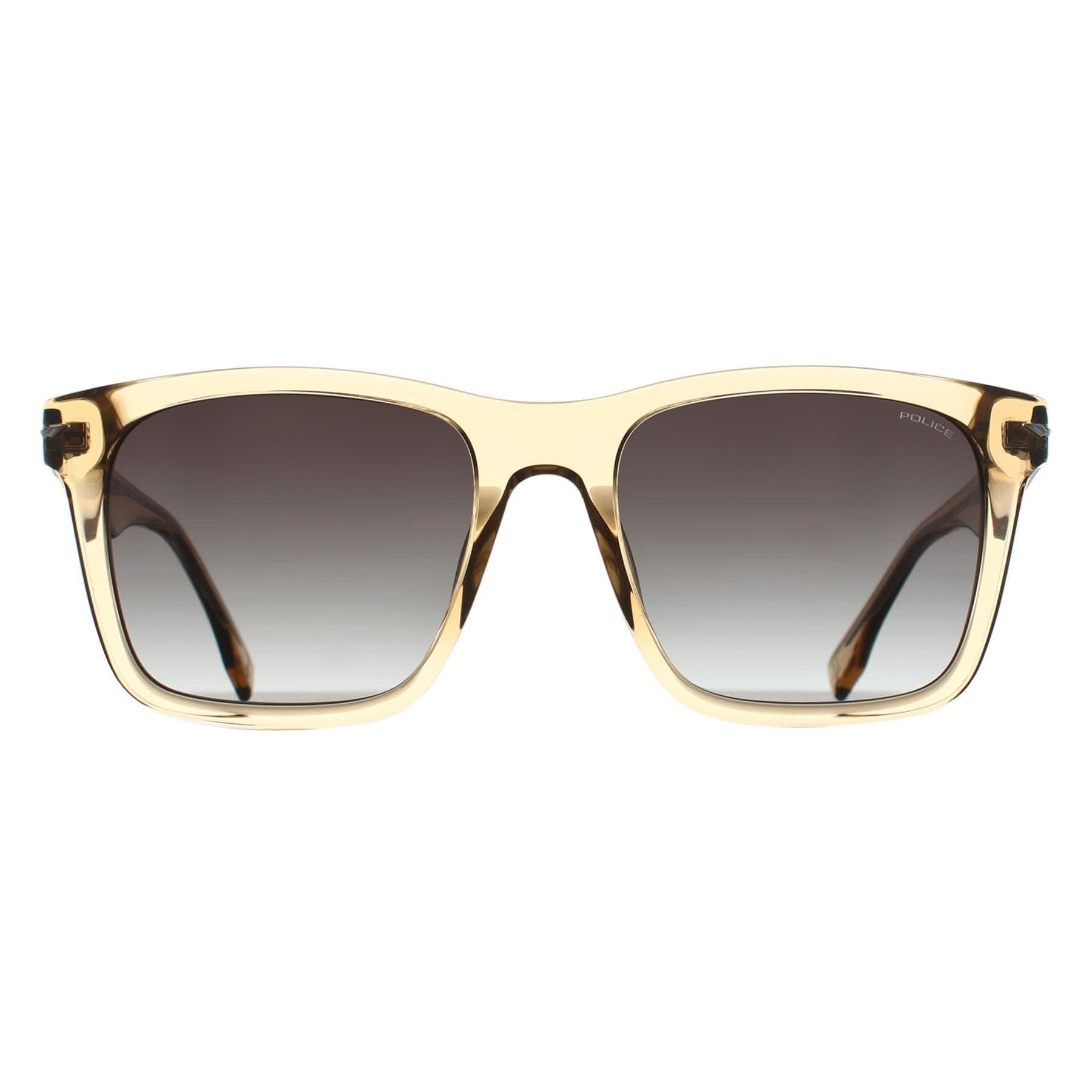 Police Police Men's Square Shiny Yellow Brown Havana Green Gradient SPLN35V Champ 9