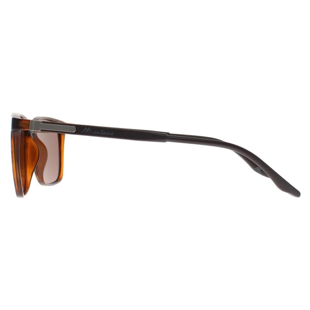 montana montana Men's Square Turtle Brown Polarized MP186 - 3
